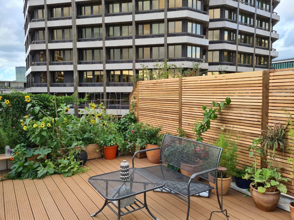 WhatsApp Image 2024-06-26 at 13.50.07